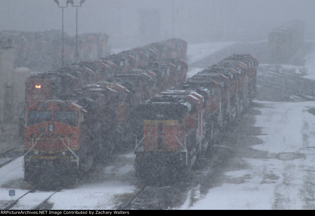 BNSF 6749 6346 CN 5663